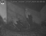 Capi_Dubne_20250727_030503.jpg