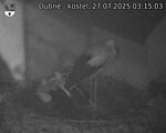 Capi_Dubne_20250727_031503.jpg