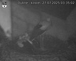 Capi_Dubne_20250727_033502.jpg