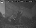 Capi_Dubne_20250727_034502.jpg