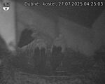 Capi_Dubne_20250727_042503.jpg