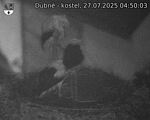 Capi_Dubne_20250727_045003.jpg