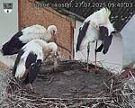 Capi_Dubne_20250727_094003.jpg