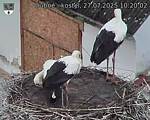 Capi_Dubne_20250727_102002.jpg