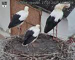 Capi_Dubne_20250727_102504.jpg