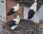 Capi_Dubne_20250727_103003.jpg