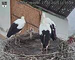 Capi_Dubne_20250727_110504.jpg
