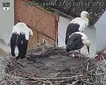 Capi_Dubne_20250727_111002.jpg