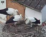 Capi_Dubne_20250727_133502.jpg
