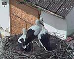 Capi_Dubne_20250727_141503.jpg