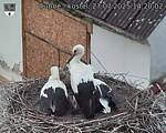Capi_Dubne_20250727_142002.jpg