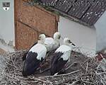 Capi_Dubne_20250727_150003.jpg