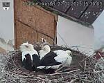 Capi_Dubne_20250727_153003.jpg