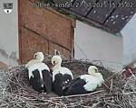 Capi_Dubne_20250727_153502.jpg