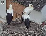 Capi_Dubne_20250727_173003.jpg