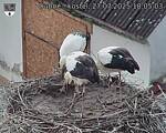 Capi_Dubne_20250727_180503.jpg