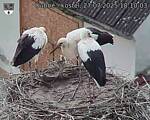 Capi_Dubne_20250727_181003.jpg