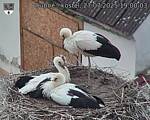 Capi_Dubne_20250727_190003.jpg