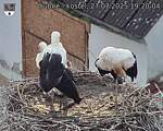 Capi_Dubne_20250727_192004.jpg