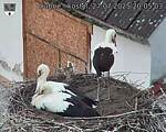 Capi_Dubne_20250727_200503.jpg
