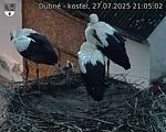 Capi_Dubne_20250727_210502.jpg