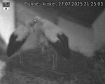 Capi_Dubne_20250727_212503.jpg