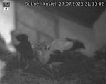 Capi_Dubne_20250727_213002.jpg