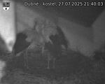 Capi_Dubne_20250727_214003.jpg
