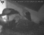 Capi_Dubne_20250727_214503.jpg