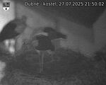 Capi_Dubne_20250727_215002.jpg