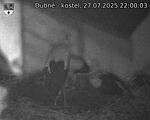 Capi_Dubne_20250727_220003.jpg