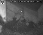 Capi_Dubne_20250727_220502.jpg