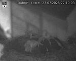 Capi_Dubne_20250727_221003.jpg