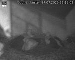 Capi_Dubne_20250727_221503.jpg