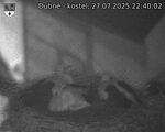 Capi_Dubne_20250727_224002.jpg