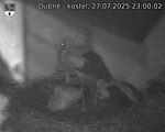 Capi_Dubne_20250727_230002.jpg