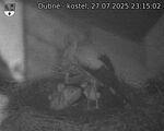 Capi_Dubne_20250727_231502.jpg