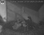 Capi_Dubne_20250727_232503.jpg