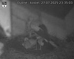 Capi_Dubne_20250727_233503.jpg