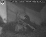 Capi_Dubne_20250727_234003.jpg