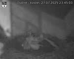 Capi_Dubne_20250727_234503.jpg