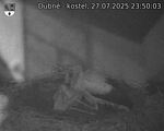 Capi_Dubne_20250727_235003.jpg