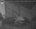 Capi_Dubne_20250728_001503.jpg