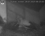 Capi_Dubne_20250728_002503.jpg