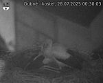 Capi_Dubne_20250728_003003.jpg