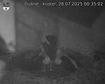 Capi_Dubne_20250728_003502.jpg
