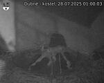 Capi_Dubne_20250728_010003.jpg