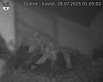 Capi_Dubne_20250728_010502.jpg