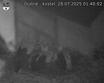 Capi_Dubne_20250728_014002.jpg