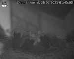 Capi_Dubne_20250728_014503.jpg